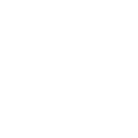 Carrera Construction